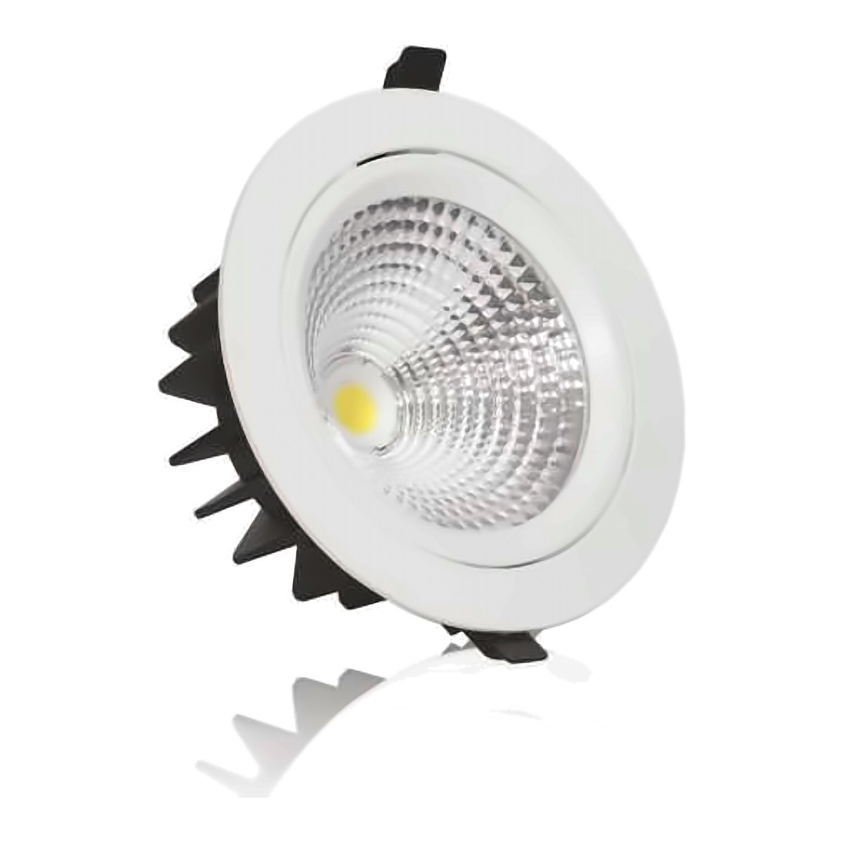 Glannu Movable COB Spot Light - Large 15 W